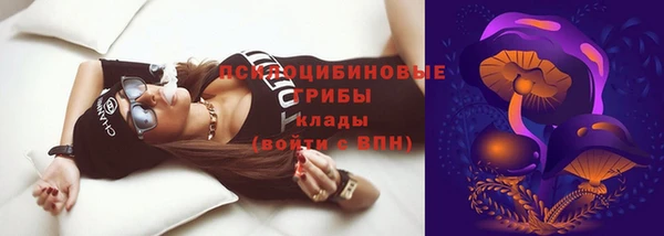 индика Алексеевка