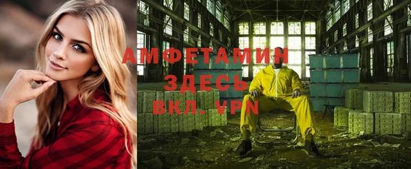 индика Алексеевка