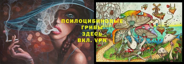 индика Алексеевка