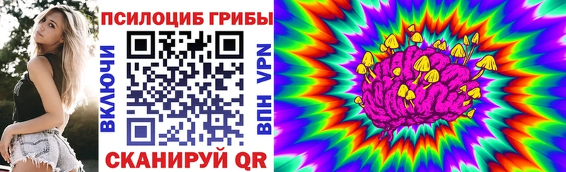 МЕГА tor  Березники  Псилоцибиновые грибы Magic Shrooms 